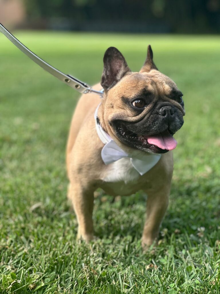 515370481_17912483517151288_213709126916004837_n