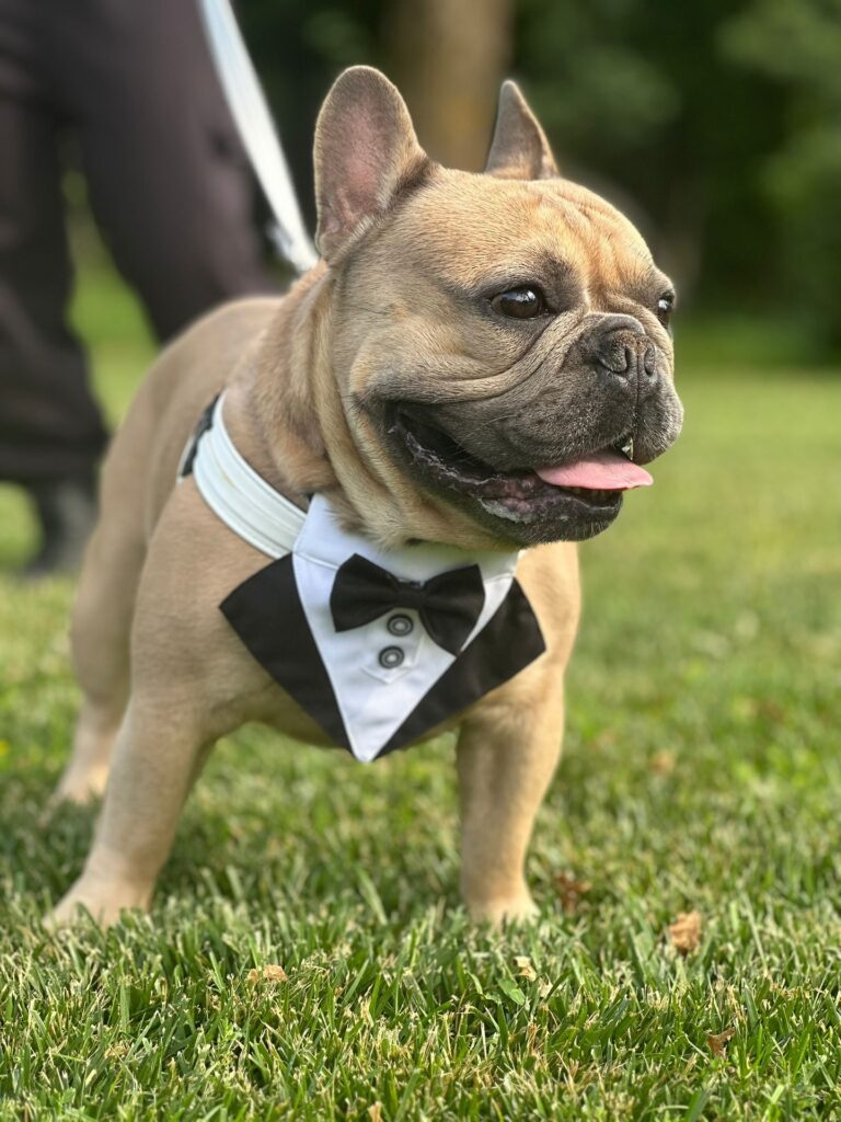 515481793_17912483508151288_3526858116752339110_n