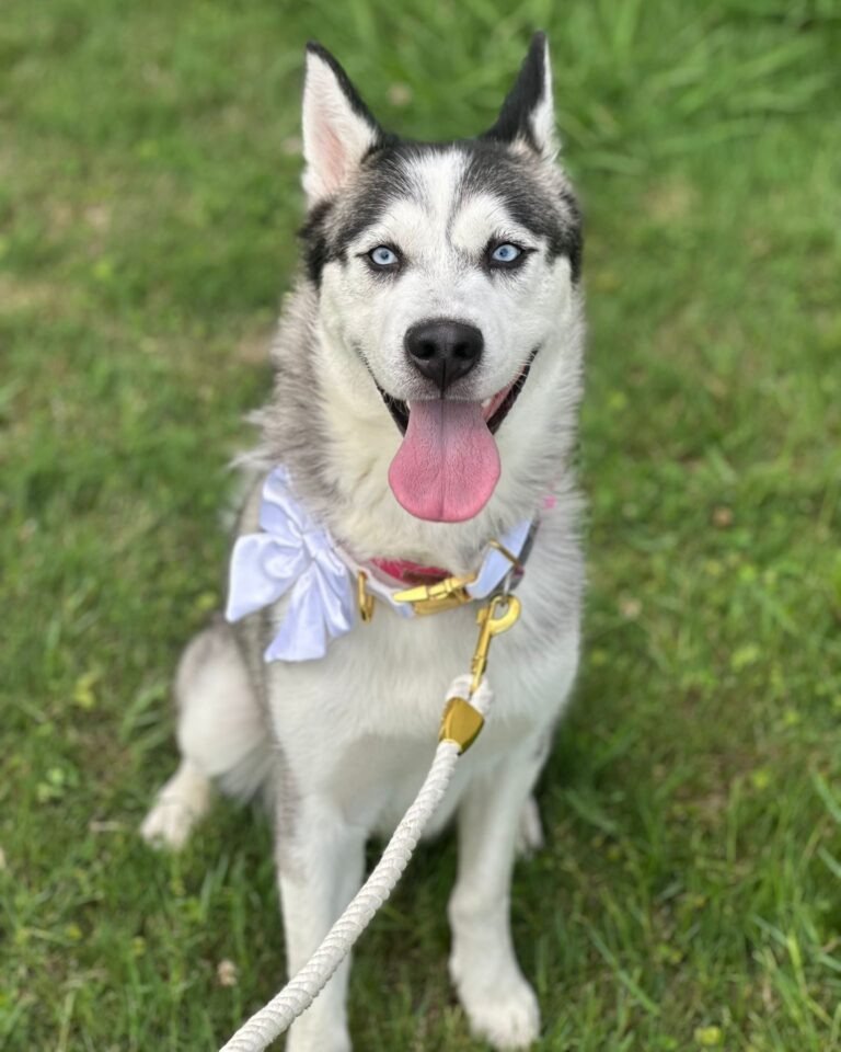 520169032_122196436040264507_7392237657242935083_n