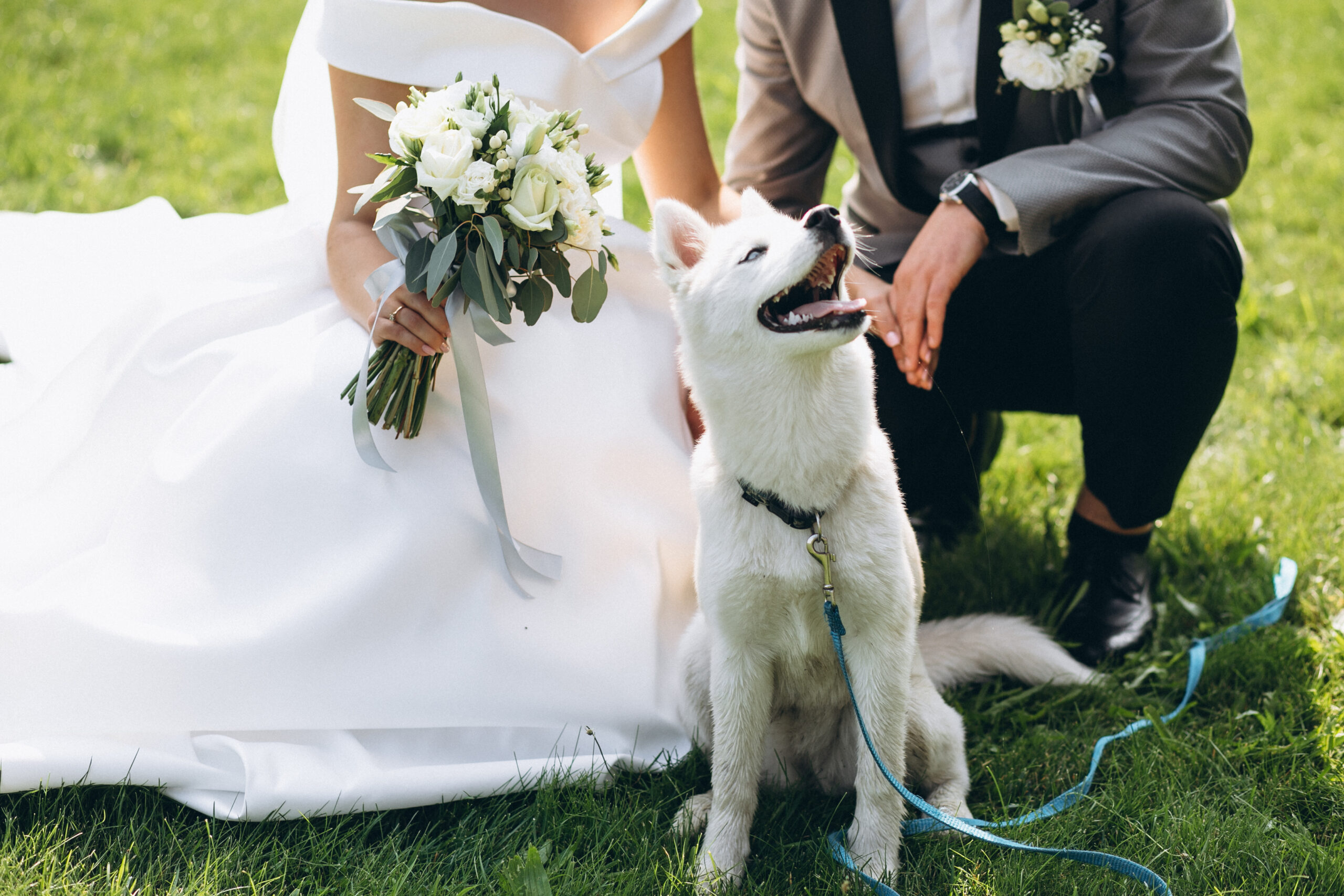 Bride with groom with their dog on their wedding day