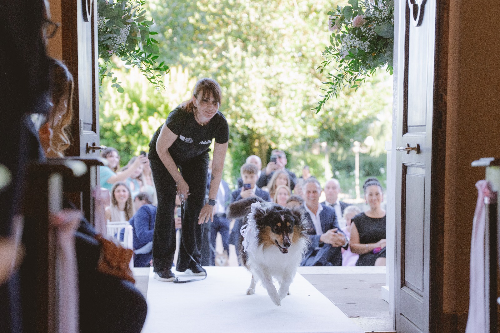 Il vostro cane può portare le fedi? Ecco come farlo in sicurezza e con stile